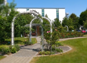 Klanggarten im Pflegezentrum
