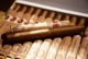 Cubanische Zigarre mit Rum unter Palmen