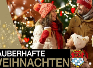 Weihnachtliche Brücke Oberschleißheim