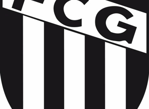 mobile Tore FC Gärtringen