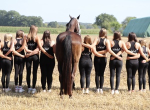 Mehr Pferdestärken für die Pferdefreunde