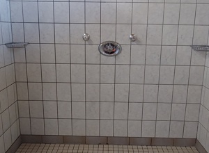 Sanierung Dusche - Turn- und Sporthalle TSG Helberhausen 1898 e.V.