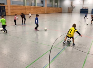 FSJ beim FC Pegnitz