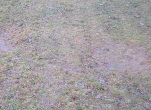 Sanierung und Pflege vom Sportplatz in Gresgen