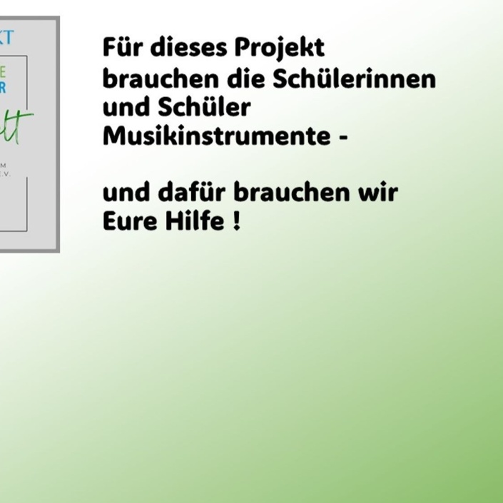 Instrumente für das Projekt "Musik beflügelt"