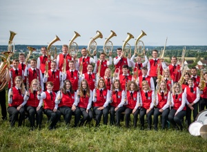 Anhänger zum Instrumententransport