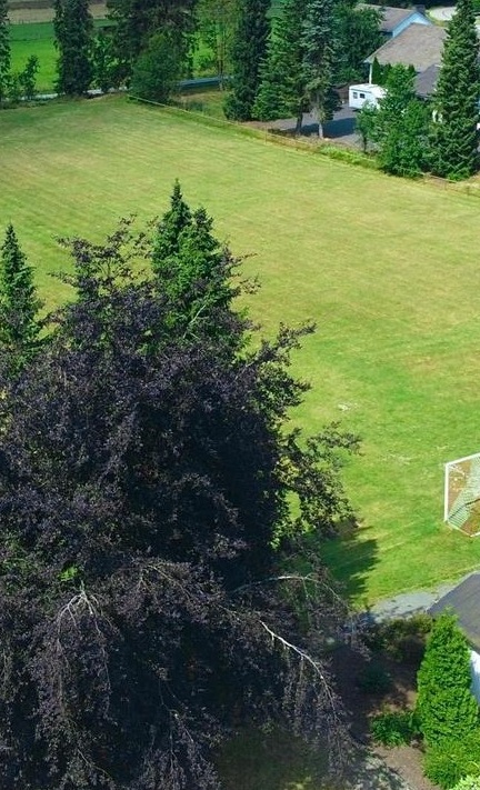 neue Trainingsbälle & Trainingshilfen