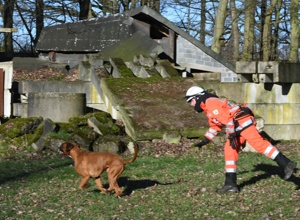 Fahrzeug für Rettungshunde