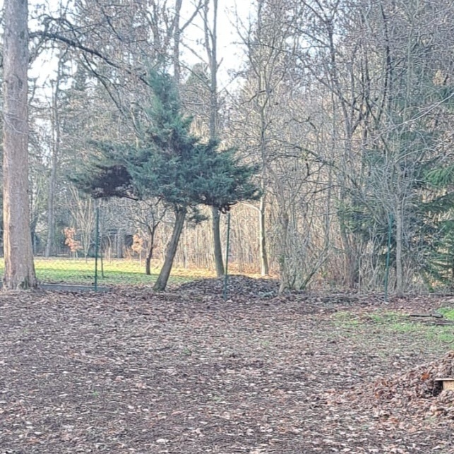 Outdoor Rückzugs- und Ruhebereich für unsere Hortkinder