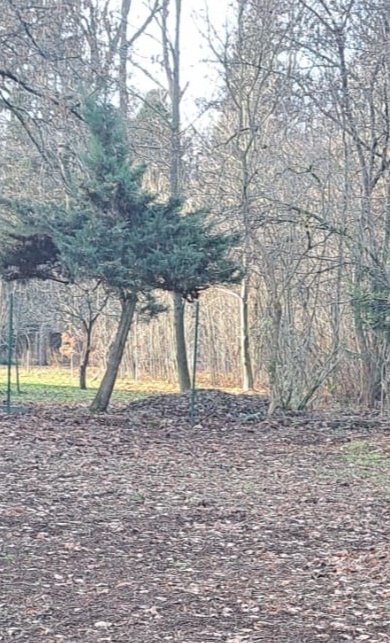 Outdoor Rückzugs- und Ruhebereich für unsere Hortkinder
