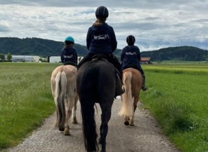 Therapie- und Schulpferd Reitverein Peiting e.V.