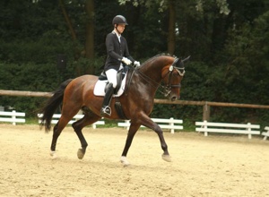Erster Reitplatztrecker und -planer