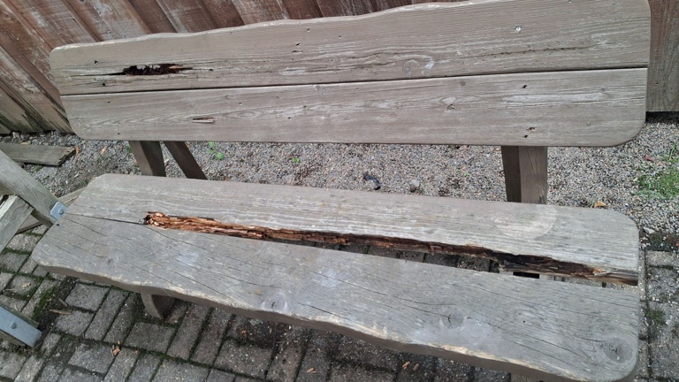 Neue Bänke rund um Scheel