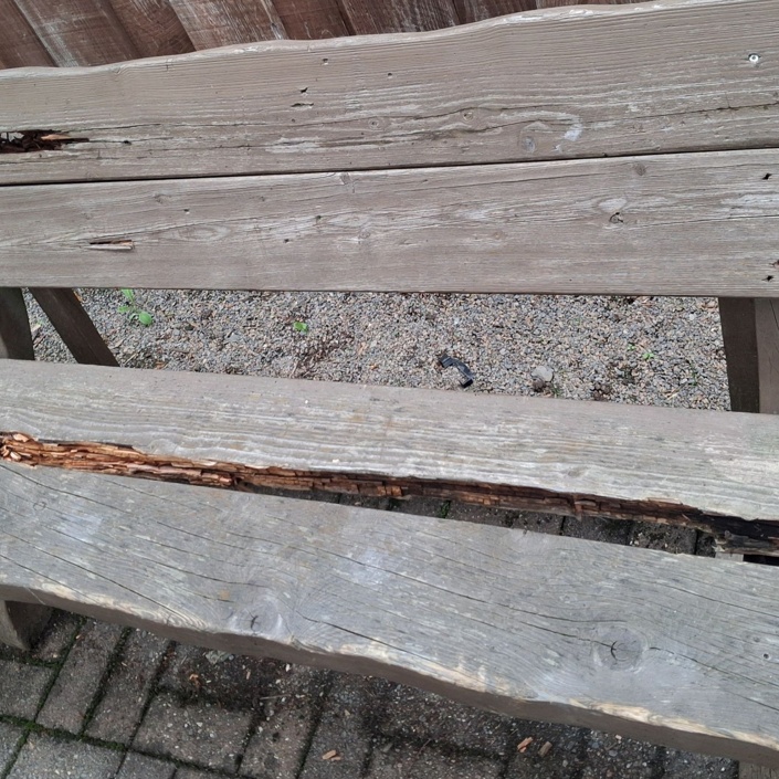 Neue Bänke rund um Scheel