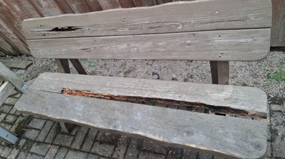 Neue Bänke rund um Scheel