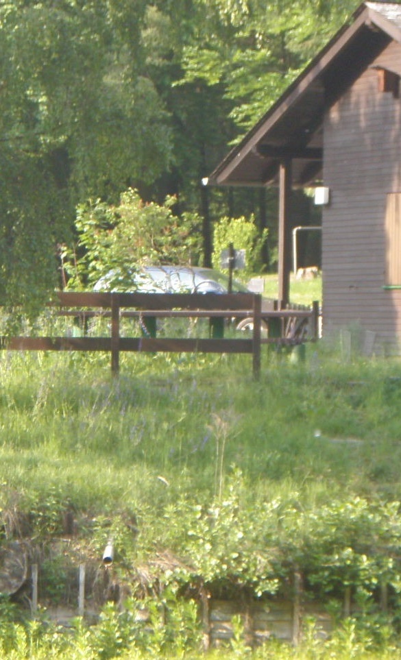 Uferbefestigungen Fischerhütte