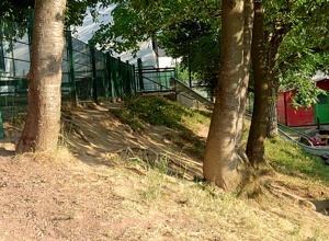 Kids in Bewegung