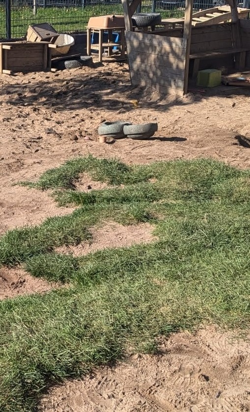 Die Krater müssen weg, ein neuer Garten für unsere Kinder.