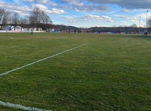 Restaurierung der Sportplätze