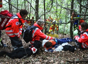 Einsatzfahrzeug für Suchhunde