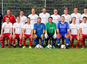 Anschaffung Aufsitzmäher Sportplatz