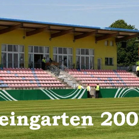 Hilf Deinem SV Weingarten 2007