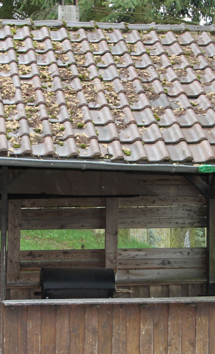 Neubau eines Grillhäuschens am "Auwelsloch"