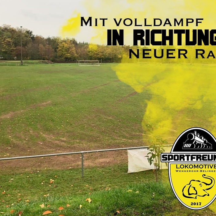 Mit Volldampf in Richtung neuer Rasen