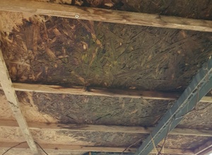 Sanierung des undichten Daches für den Naturkindergarten Bezgenriet
