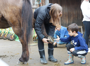 Ein Dach für die Pferde auf dem Kinderbauernhof