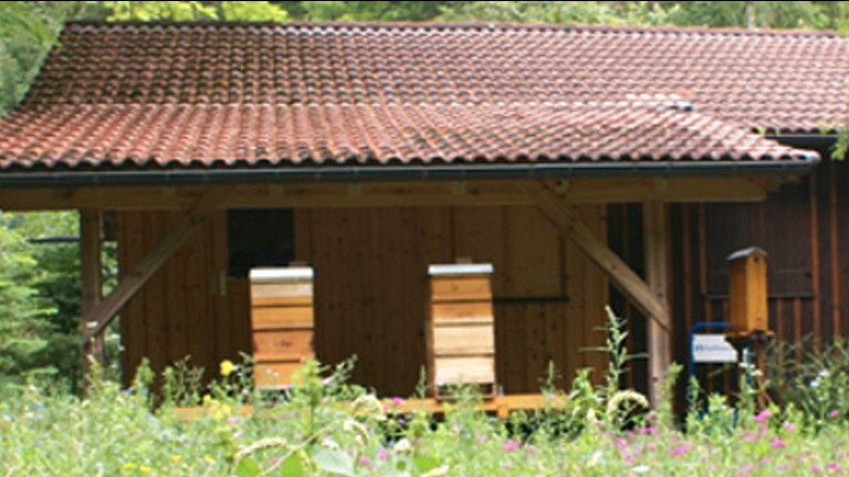 Erweiterung Lehrbienenstand Buchberg