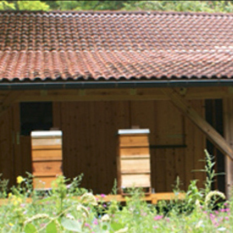 Erweiterung Lehrbienenstand Buchberg