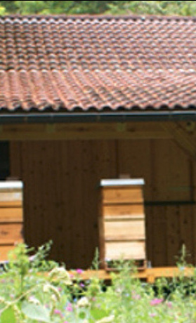 Erweiterung Lehrbienenstand Buchberg