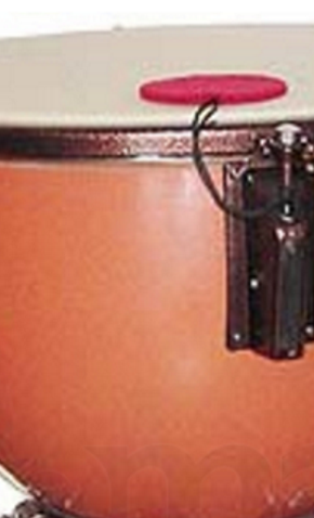 Beschaffung von Musikinstrumenten