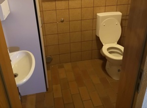 Renovierung Tanzsaal/WC-Räume