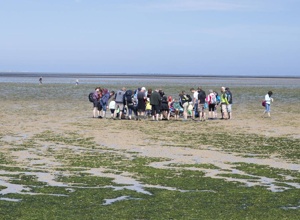 Mit dem Ferienlager zum Weltnaturerbe Wattenmeer