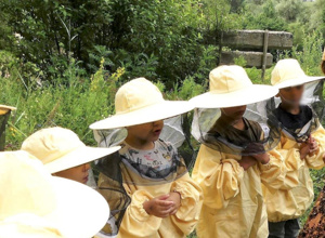Bienen am Schulbauernhof