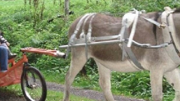 Große Ansicht vom Video