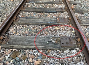 Für freie Fahrt ins Oberland: Retten wir zusammen die Musikwinkelbahn!