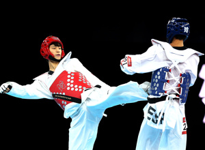 Elektronisches Kampfsystem für unseren Taekwondoverein