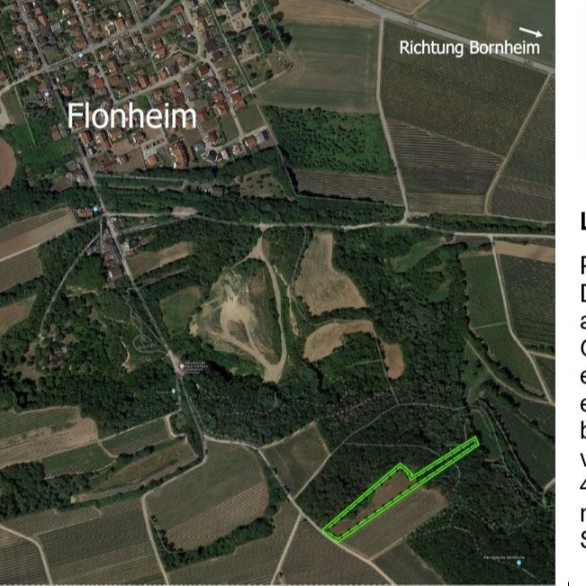 Wir pflanzen Wald zum Leben
