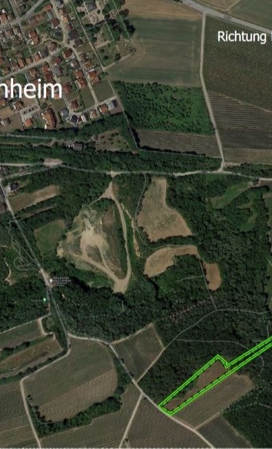 Wir pflanzen Wald zum Leben