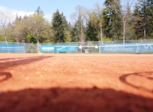 Dachsanierung Clubhaus TC Friolzheim e. V.