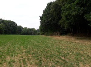 Naturspielpfad in Ense-Parsit