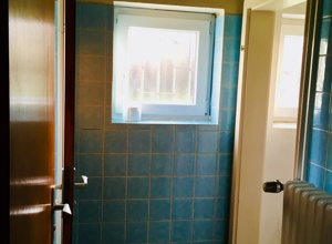 Erneuerung der Damentoilette