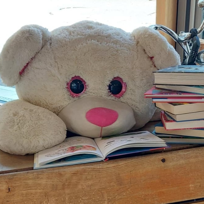 Wir lesen los! Die neue Schulbücherei an der VGS