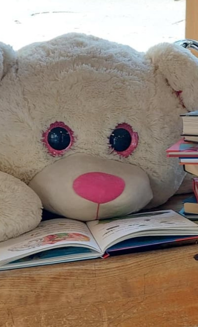Wir lesen los! Die neue Schulbücherei an der VGS