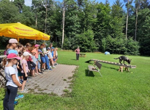 Licht an für unsere Hundeausbildung!