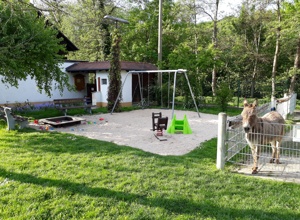 Renovierung Ententeichanlage