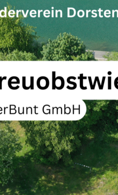 Obstbaumwiese für Nachhaltigkeit & als Erholungsbereich